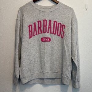 Hollister Light Gray Barbados Crewneck Pullover Pink Lettering Sweatshirt XS Top
